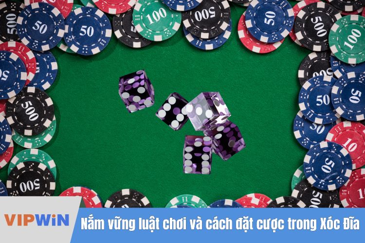 Nắm vững luật chơi và cách đặt cược trong Xóc Đĩa