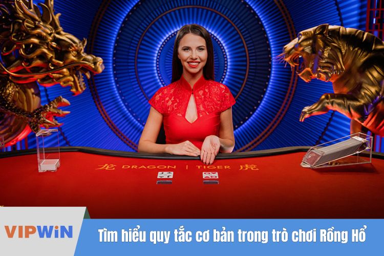 Tìm hiểu quy tắc cơ bản trong trò chơi Rồng Hổ